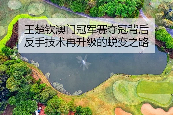王楚钦澳门冠军赛夺冠背后 反手技术再升级的蜕变之路